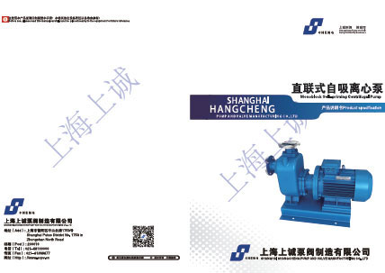 直聯(lián)式自吸泵產(chǎn)品手冊下載