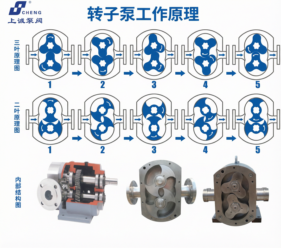 轉(zhuǎn)子泵工作原理、結(jié)構(gòu)組成及應(yīng)用分析｜上海上誠(chéng)泵閥