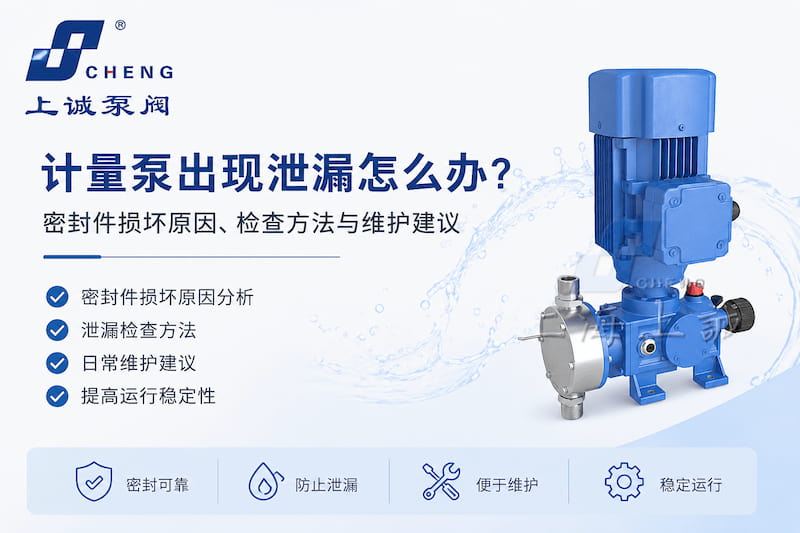 計(jì)量泵出現(xiàn)泄漏怎么辦？密封件損壞原因、檢查方法與維護(hù)建議